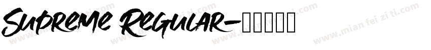 Supreme Regular字体转换
